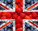 Perspective shows Brexit exposed vulnerabilities in the UK’s food system