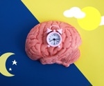 Disrupted body clocks raise risk of early death, study finds