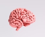 Study shows brain estrogen directly regulates appetite in mice