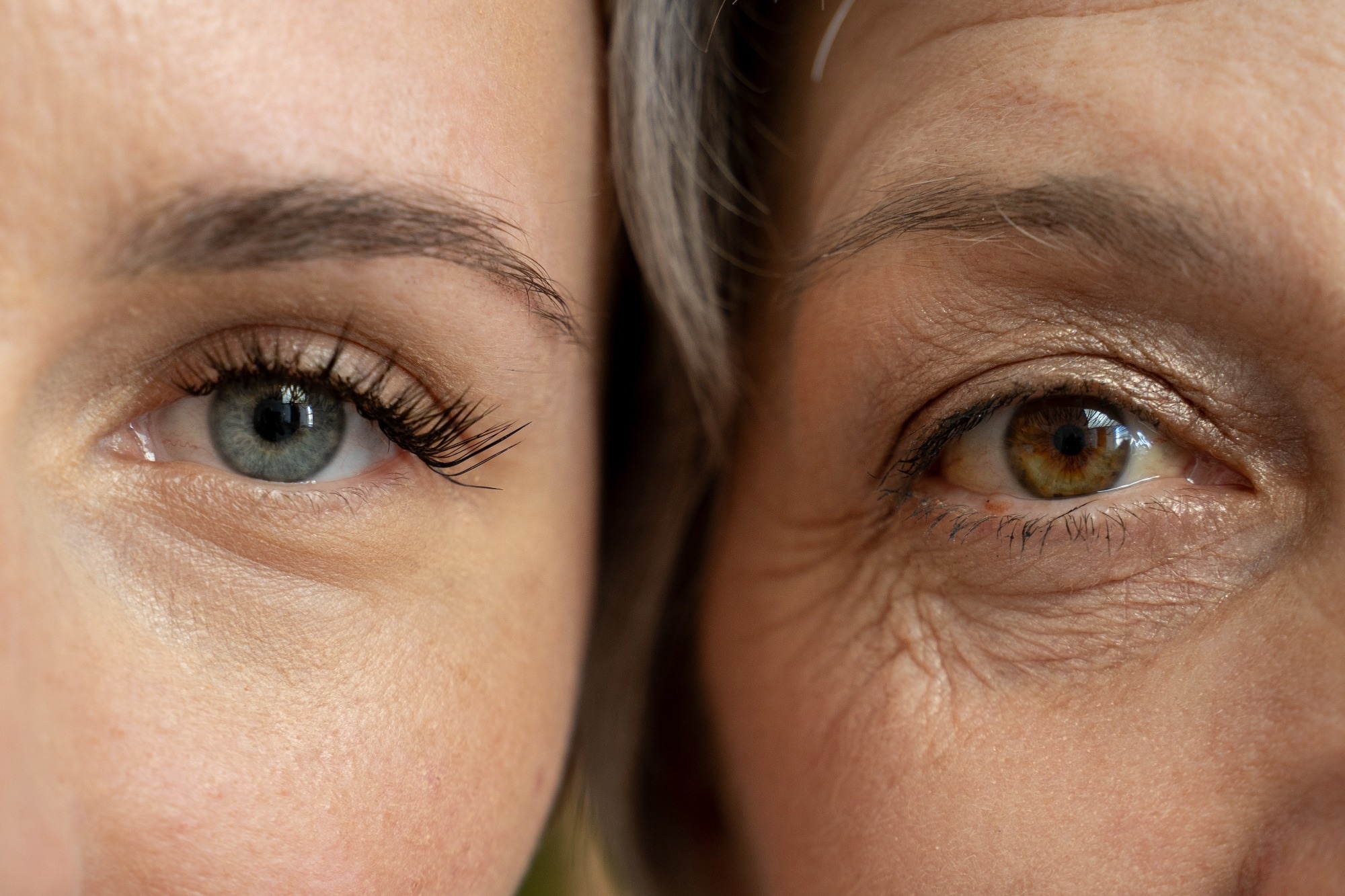 Review: Potential Role of Dietary Antioxidants During Skin Aging. Image Credit: Grustock / Shutterstock