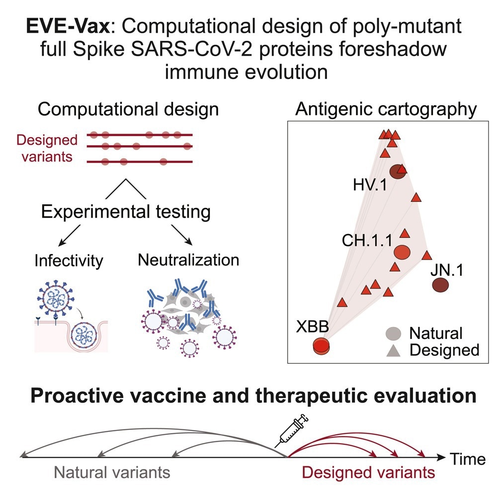 Graphical abstract
