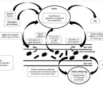 Gut bacteria and genes jointly shape obesity risk, review reveals hidden links