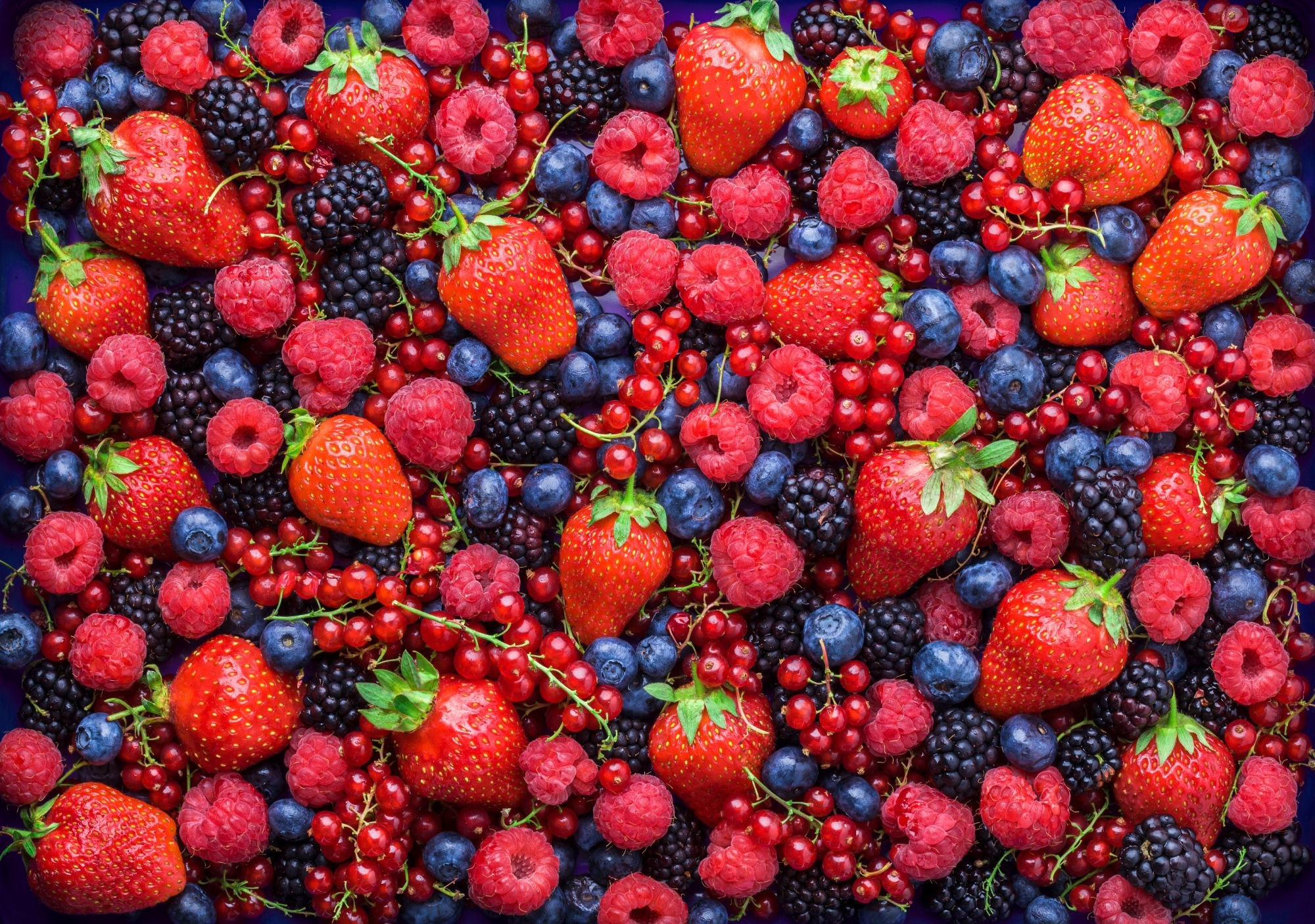 Study: Dietary associations with reduced epigenetic age: a secondary data analysis of the methylation diet and lifestyle study. Image Credit: Bojsha / Shutterstock