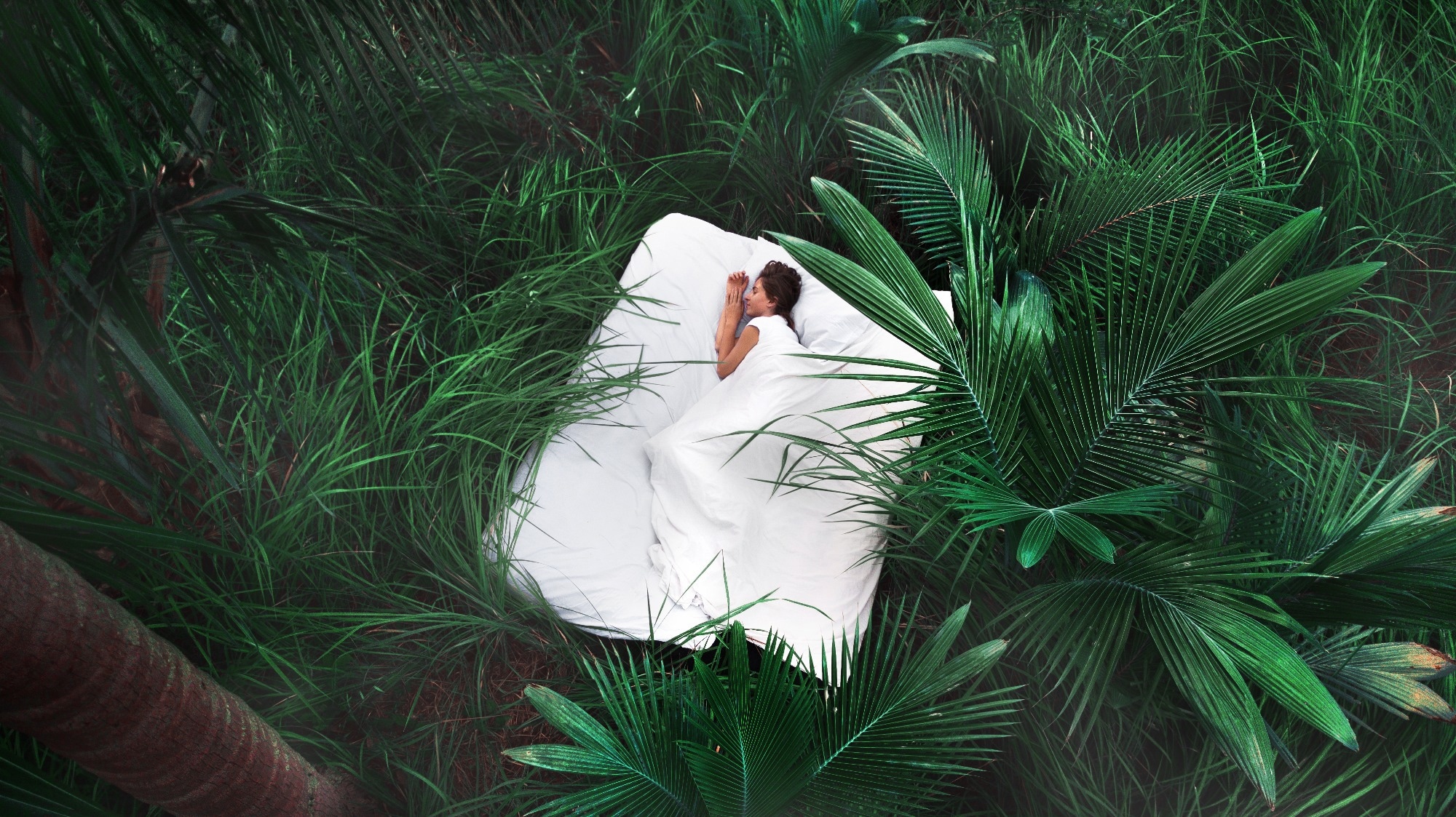 Perspective: Sleep and the recovery from stress. Image Credit: Hlib Shabashnyi / Shutterstock