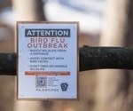 Genomic analysis reveals how bird flu jumped from wild birds to poultry and people