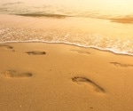 Coastal living adds years to your life while inland waters may cut them short