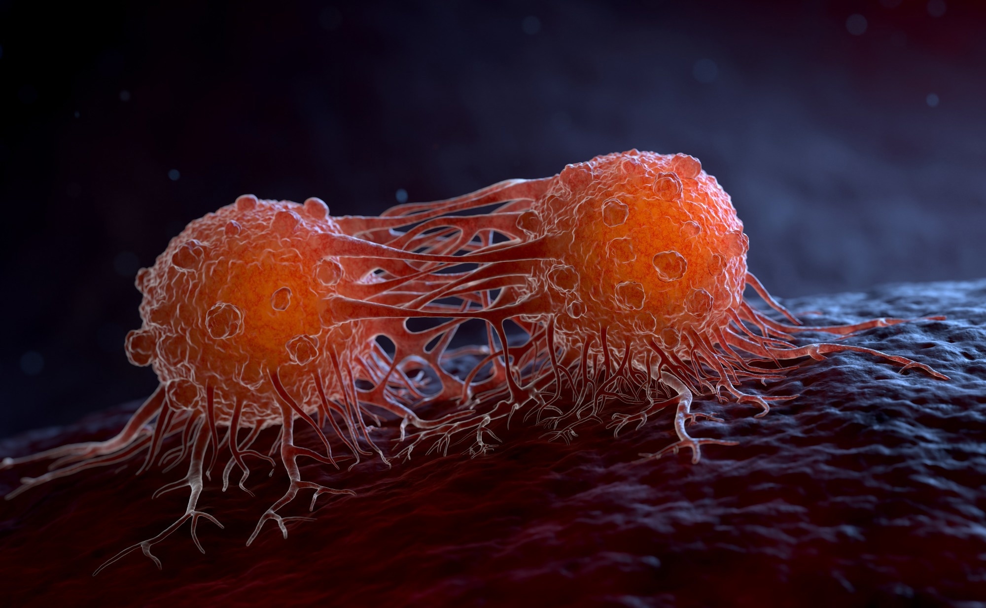 irst-Line Camizestrant for Emerging ESR1-Mutated Advanced Breast Cancer