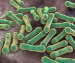 When old diseases find new ways in: Europe’s latest diphtheria outbreak explained