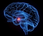 Unpredictable caregiving rewires the brain’s threat response