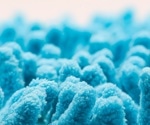Gut microbe emerges as a promising tool in the fight against COVID-19