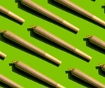 Cannabis smoking changes your DNA, leaving epigenetic scars