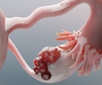 Probiotics improve ovarian damage in premature menopausal mice