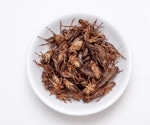 Cricket flour pasta offers a safe, sustainable protein alternative