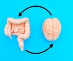 Fasting triggers neuroprotective changes that could delay dementia