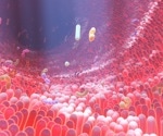 Gut pathogens override chemical repulsion and invade