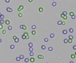 DeNovix releases new CellDrop FLxi applications