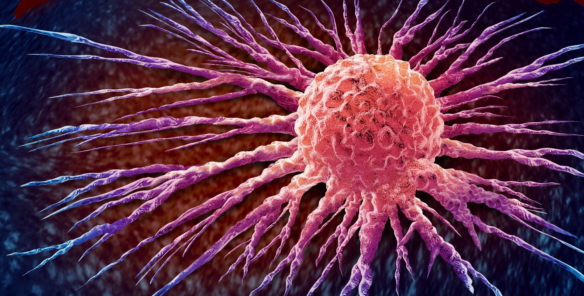 Study: SDR42E1 modulates vitamin D absorption and cancer pathogenesis: insights from an in vitro model. Image Credit: Lightspring / Shutterstock