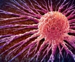 Blocking a single gene disrupts vitamin D metabolism and cancer pathways in new cell study