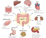 Can one drug do it all? Reviewing the expanding clinical universe of GLP-1 agonists