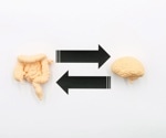 Probiotic bacteria found to reshape cell behavior in vitro