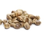 Hemp seeds: The surprisingly complete protein hiding in plain sight