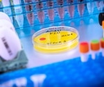 Study finds past H1N1 exposure shields animals from deadly H5N1