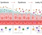 How a leaky gut could be putting your heart at risk