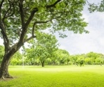 Greener cities reduce dementia risks linked to air pollution