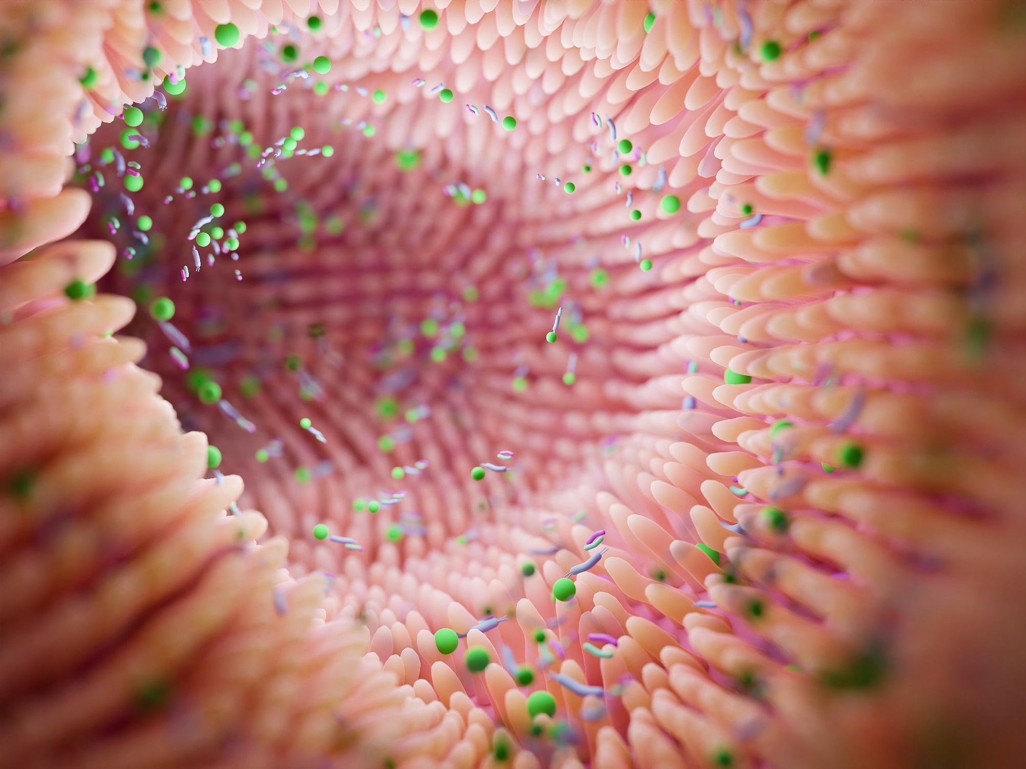 Microbiome intestine factories and microbiota