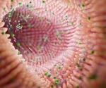 Gut mycobiota could help predict disability in multiple sclerosis