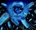 Soil bacterium offers clues for new bioactive compounds