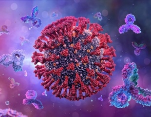 New antibody delivery system boosts Alzheimer's treatment in mice