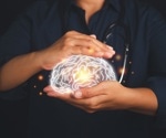 FAU neuroscientist receives NIH grant to study amphetamine effects on the brain
