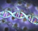 Advanced imaging technique reveals how nuclear pores regulate molecular movement