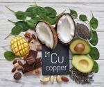 Copper oxide scaffolds show promise in treating traumatic brain injury