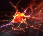 New Theory About Alzheimer's Disease