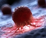 Cancer-associated fibroblasts exhibit paradoxical effects on immunotherapy