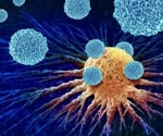 WEE1 identified as a key driver of immune resistance in cancer