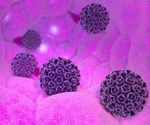 Helix receives approval to conduct a clinical trial of Topical Interferon Alpha-2b in Sweden