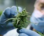 Cannabis and psychedelics rated most effective for symptom relief by eating disorder patients