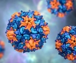 Investigating taraxerol as a protease inhibitor against SARS-CoV-2
