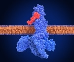Five new large pharma clients place initial studies with LAB Research