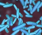 Bacteria use amyloids as molecular armor against predators