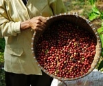Pregnant women need to be aware of coffee and tea strength