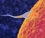 Notebook computers can have a negative effect on male fertility