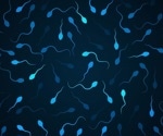 Invasive breast cancer risk in men may be linked to self-reported infertility