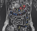 Gut bacteria produce hormone-like proteins that regulate weight and blood sugar