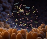 Semen microbiota might play a crucial role in influencing male fertility