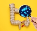 Gut bacteria produce hormone-like proteins that regulate weight and blood sugar