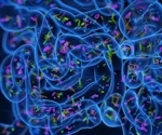 Freya Biosciences secures new investment to develop microbial immunotherapies for bacterial vaginosis